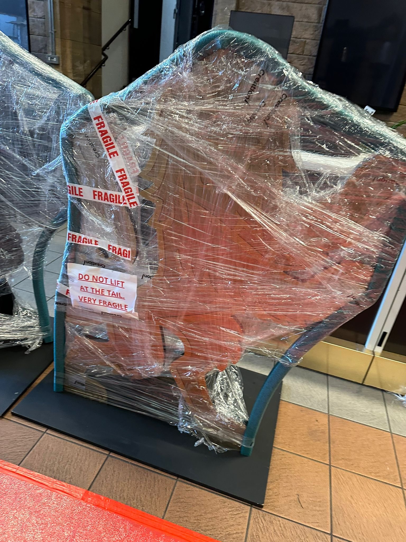 WhatsApp Image 2026 03 10 at 1.34.53 PM (1)