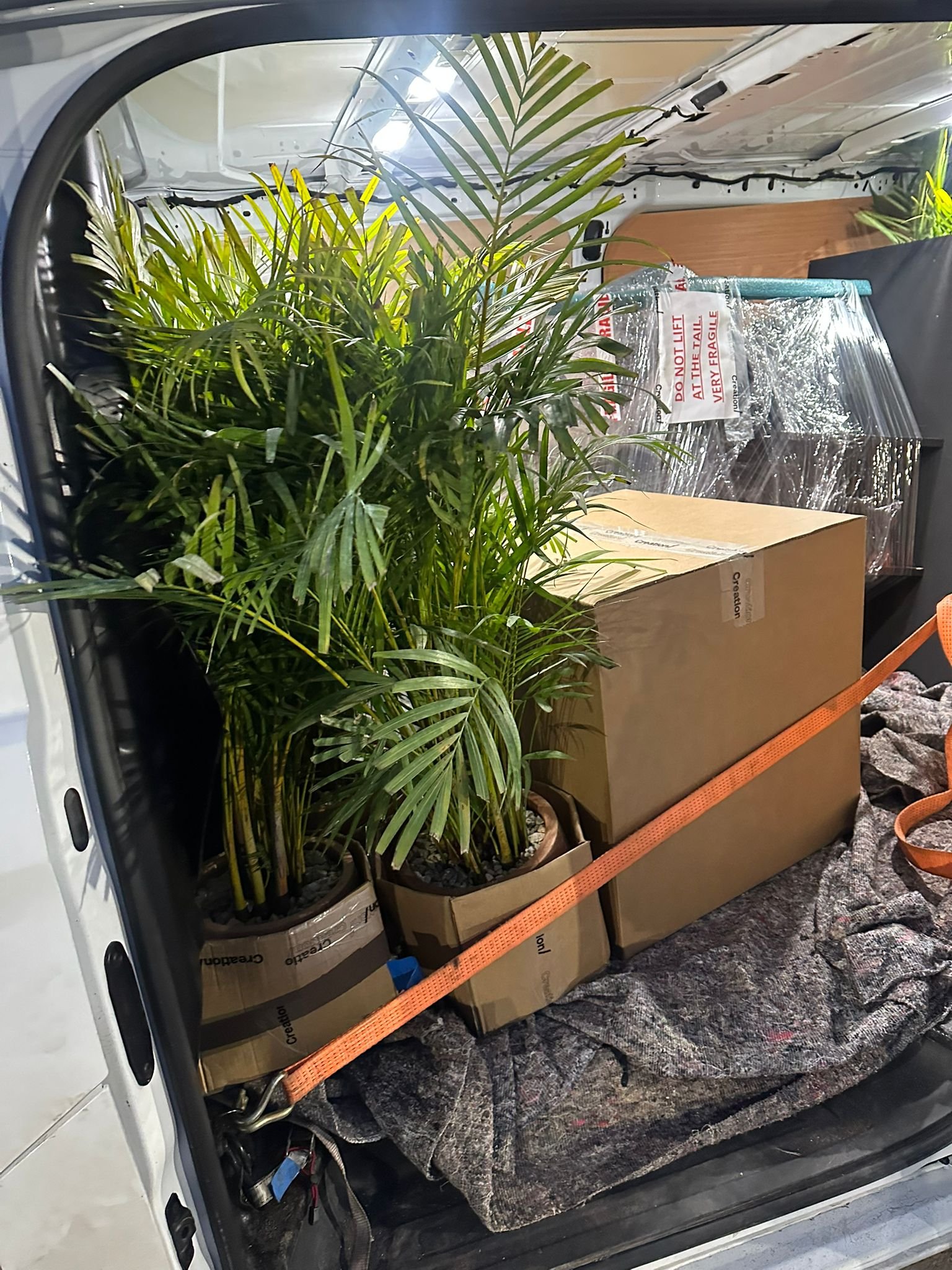 WhatsApp Image 2026 03 10 at 1.34.54 PM (1)