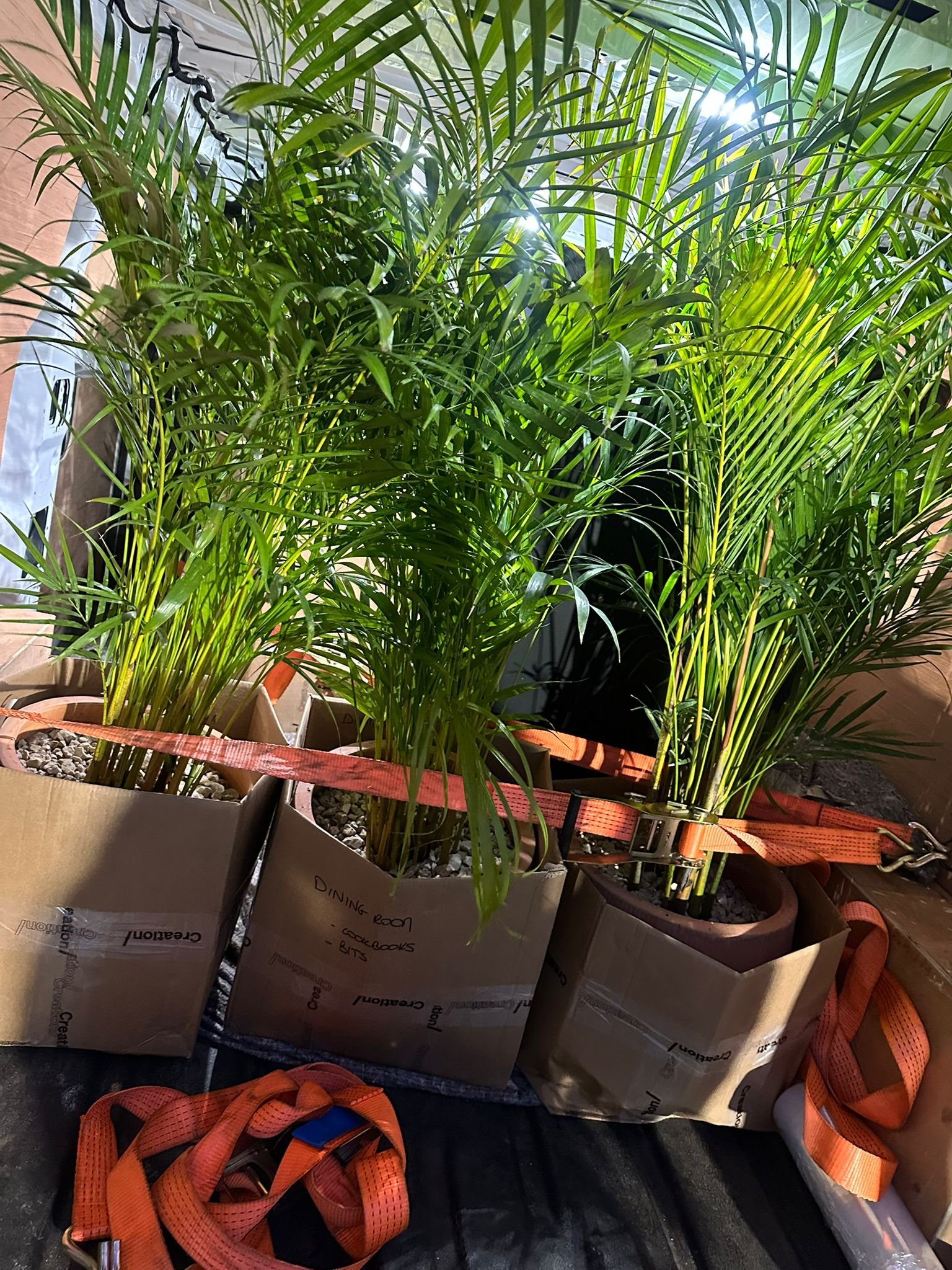 WhatsApp Image 2026 03 10 at 1.34.54 PM