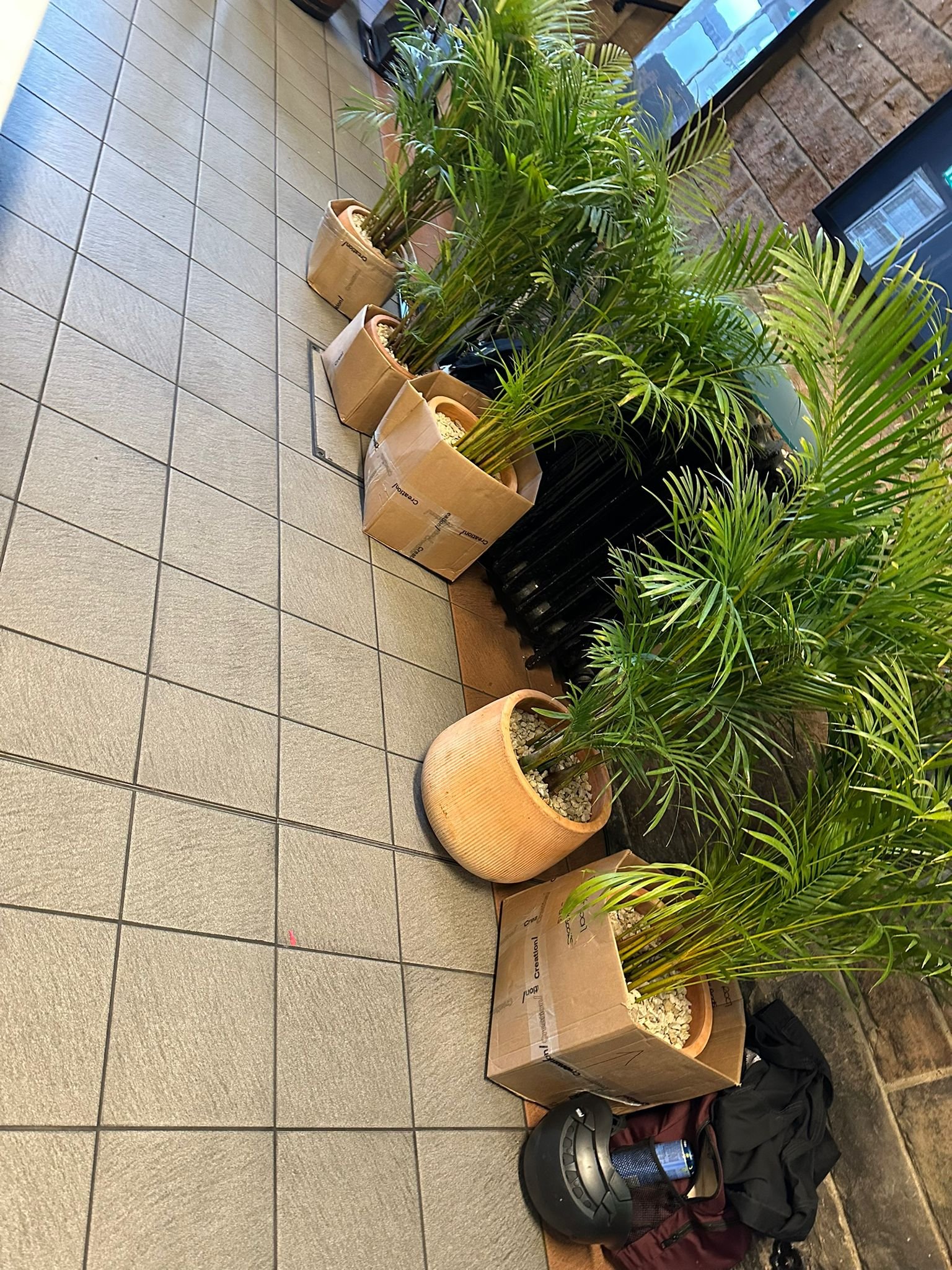 WhatsApp Image 2026 03 10 at 1.34.55 PM